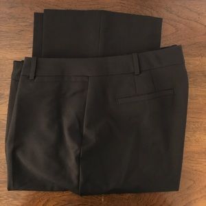 3 season brown slacks in 14 long/tall